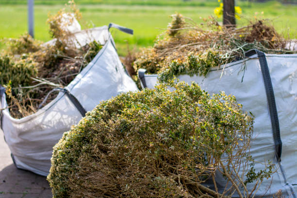 Best Appliance Removal Near Me  in Greene, IA
