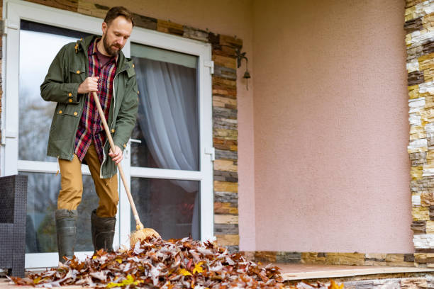 Best Furniture Removal Near Me  in Greene, IA